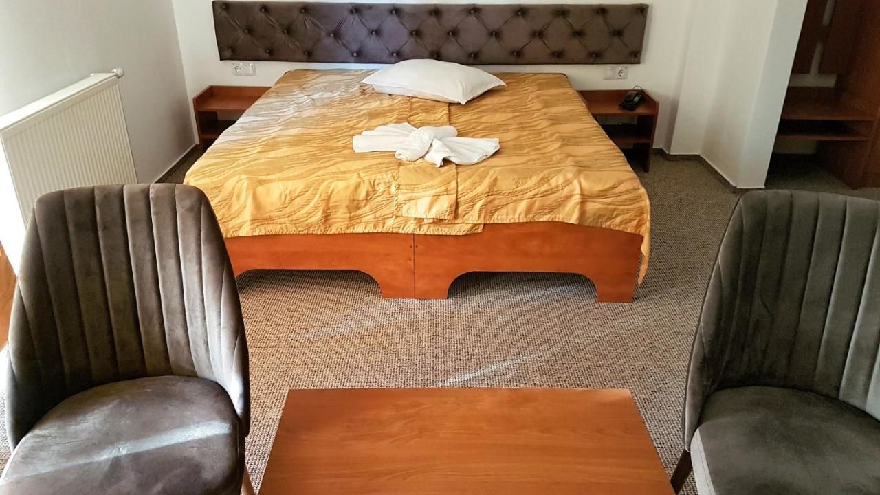 Отель Hotel Alexis Клуж-Напока-18
