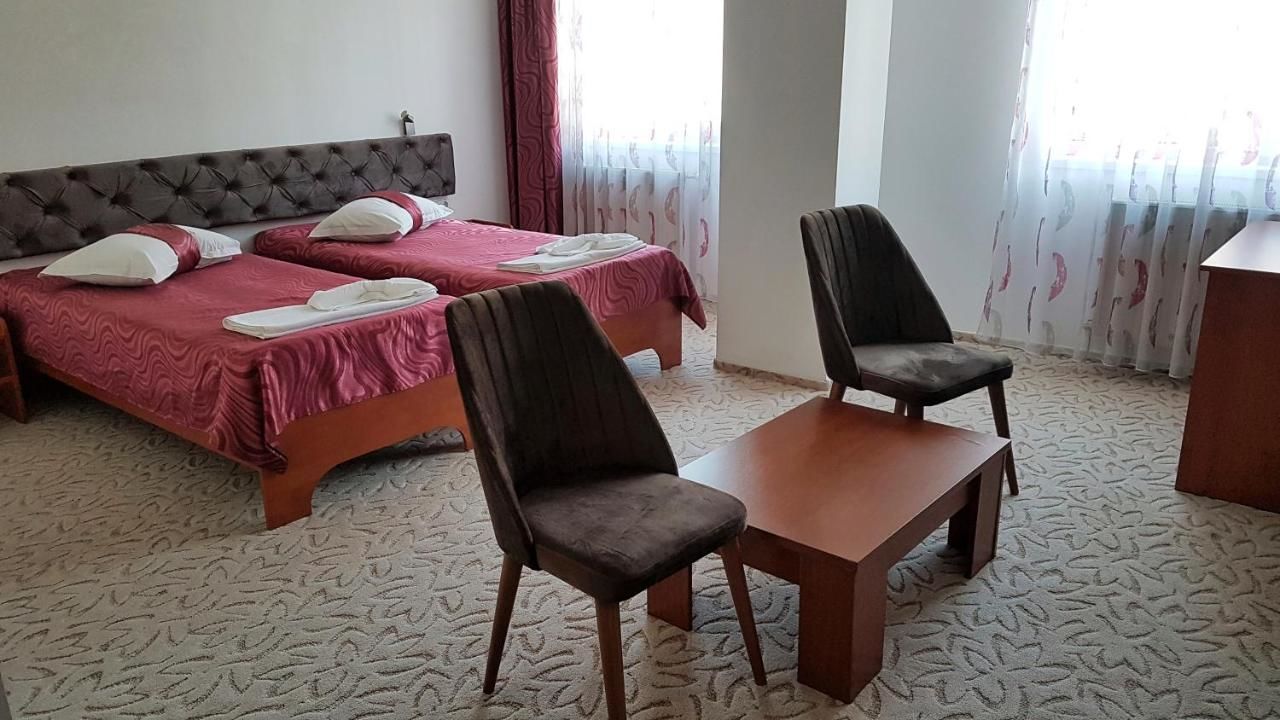 Отель Hotel Alexis Клуж-Напока-19