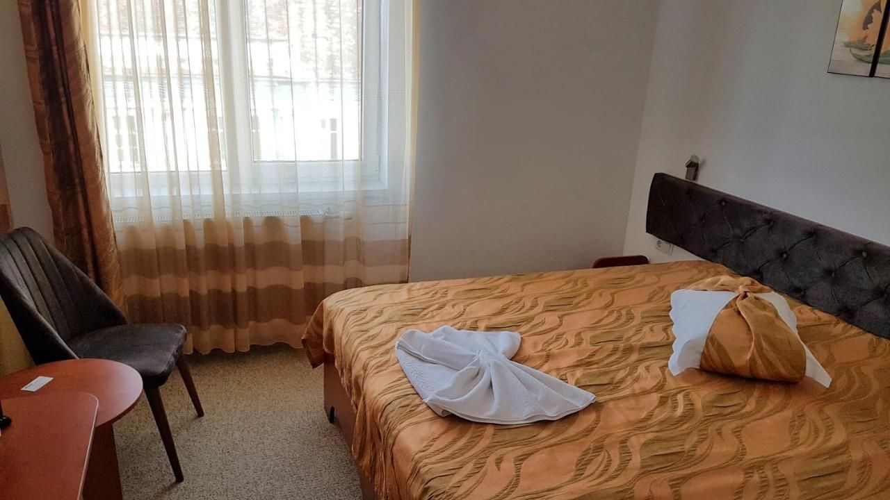 Отель Hotel Alexis Клуж-Напока-22