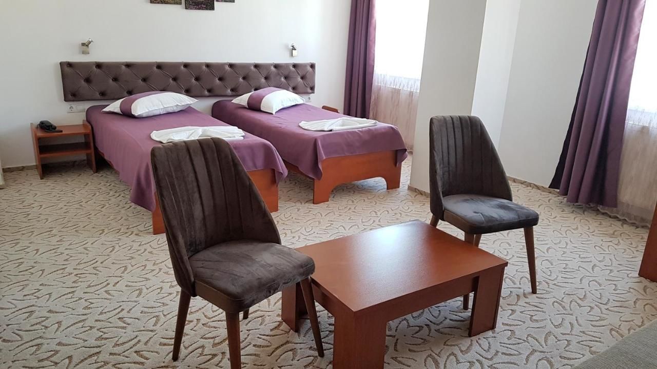 Отель Hotel Alexis Клуж-Напока