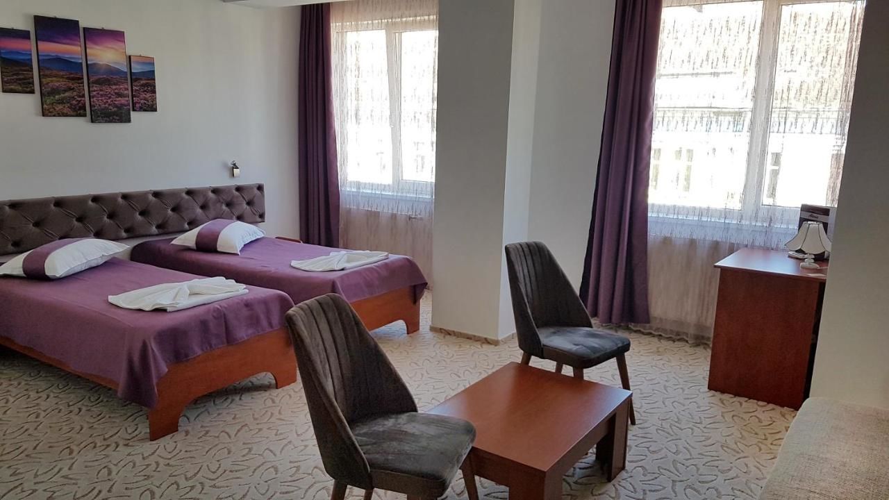 Отель Hotel Alexis Клуж-Напока-28