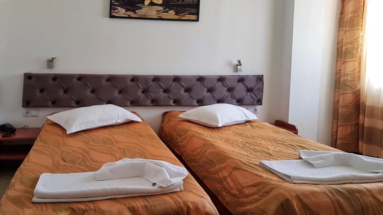 Отель Hotel Alexis Клуж-Напока-29