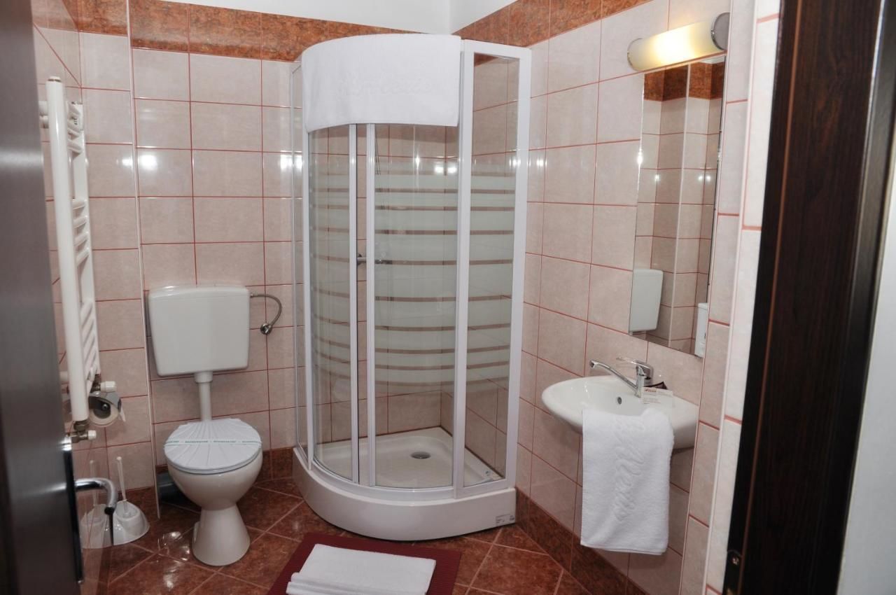 Отель Hotel Alexis Клуж-Напока-38