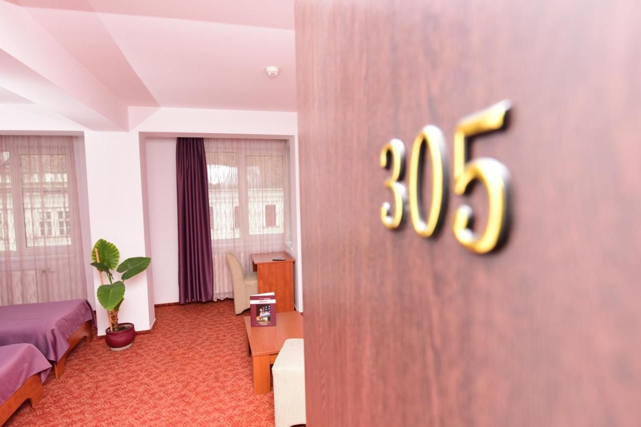 Отель Hotel Alexis Клуж-Напока-48