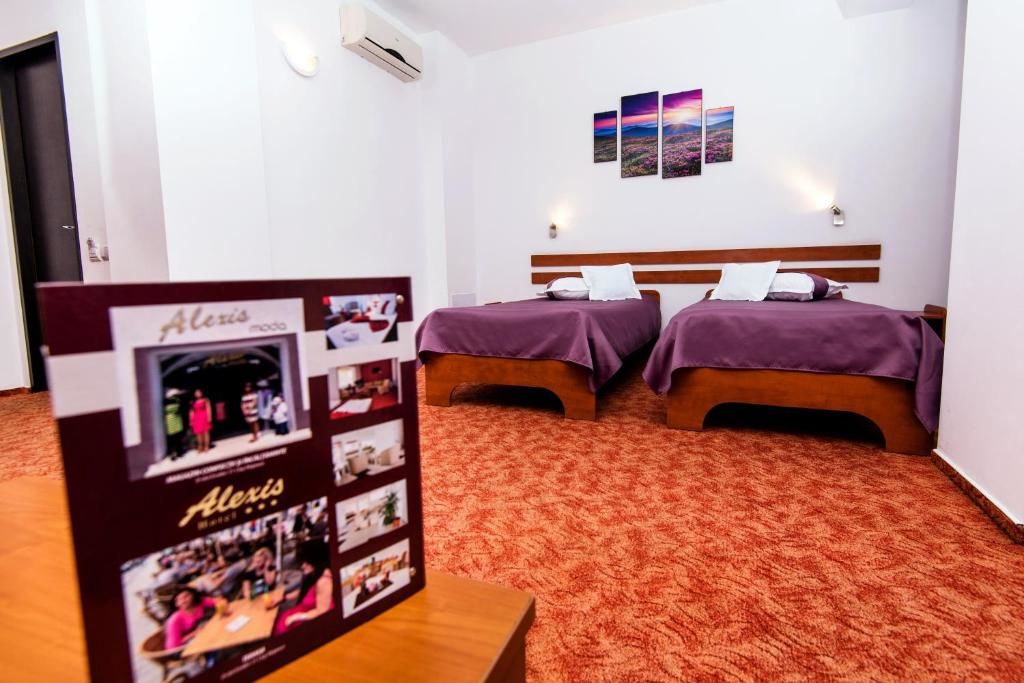 Отель Hotel Alexis Клуж-Напока
