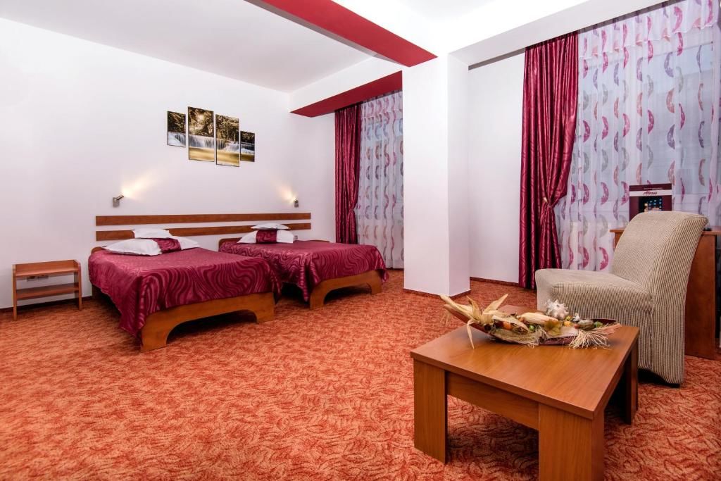 Отель Hotel Alexis Клуж-Напока-63