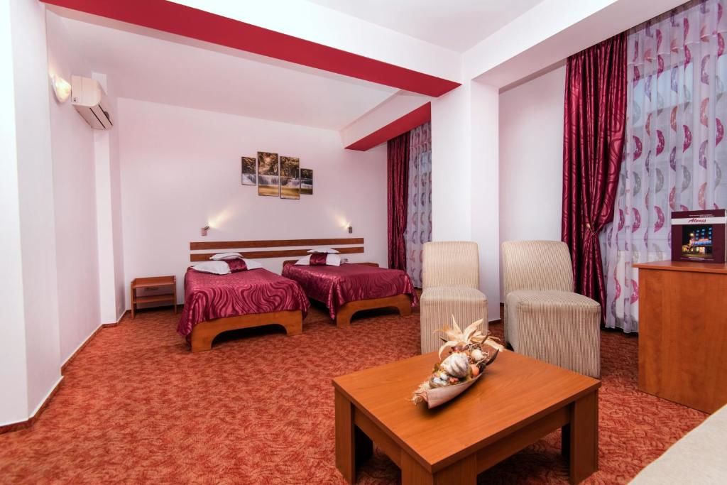 Отель Hotel Alexis Клуж-Напока-66