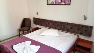Отель Hotel Alexis Клуж-Напока Стандартный двухместный номер с 1 кроватью-4
