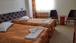 Отель Hotel Alexis Клуж-Напока Стандартный двухместный номер с 2 отдельными кроватями-1