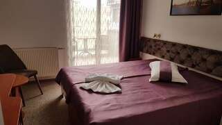 Отель Hotel Alexis Клуж-Напока Двухместный номер с 1 кроватью и балконом-2