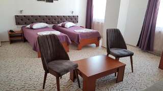 Отель Hotel Alexis Клуж-Напока Полулюкс-18