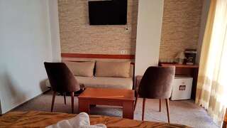 Отель Hotel Alexis Клуж-Напока-4
