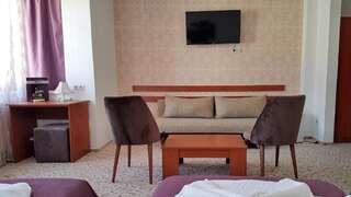 Отель Hotel Alexis Клуж-Напока Полулюкс-37