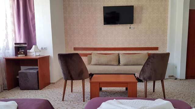 Отель Hotel Alexis Клуж-Напока-24