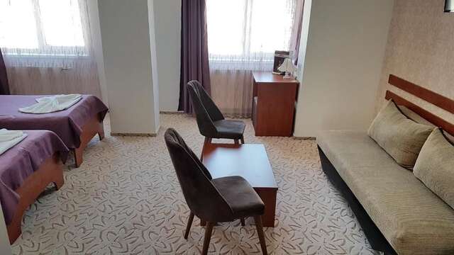 Отель Hotel Alexis Клуж-Напока-50